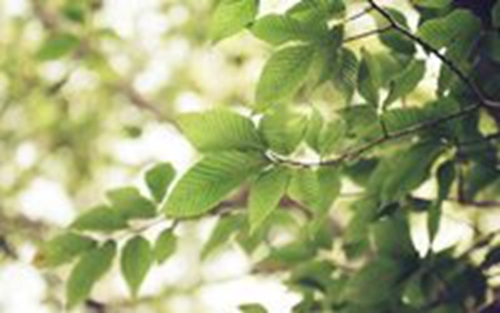 教師節(jié)給數(shù)學老師的祝福語句簡短唯美(2023給數(shù)學老師教師節(jié)祝福語)