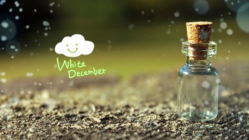 生日換禮短信
