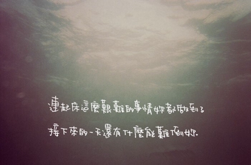 　　白鹿森林