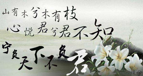 ﹌多想沒心沒肺的活著