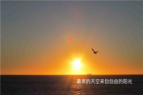 找到工作的祝賀詞