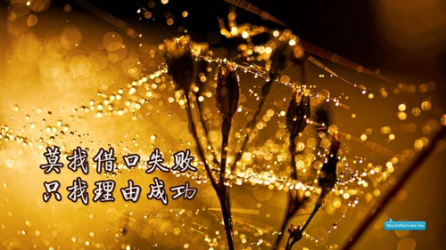 祝護士長生日快樂的祝福語簡短