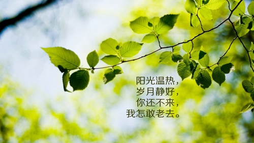 英語老師教師節祝福語一年級