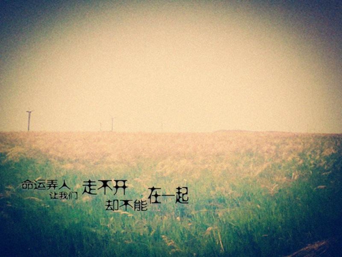 拜年的短信大全
