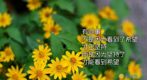 換新工作發朋友圈文案