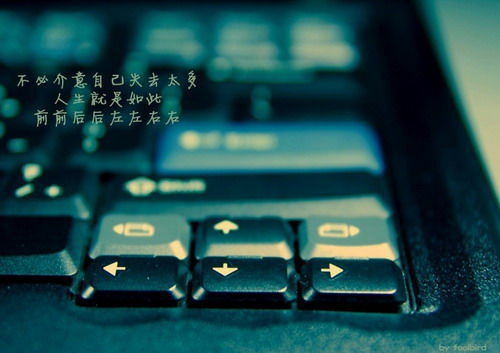 迎來冬天的祝福句子