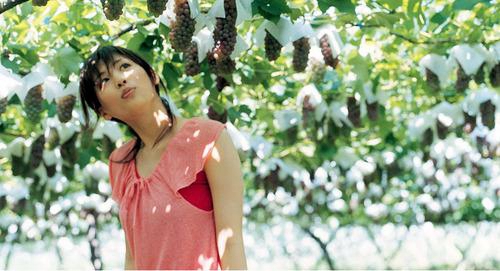 推薦10句婚禮的婚禮祝福 推薦10句婚禮的婚禮祝福