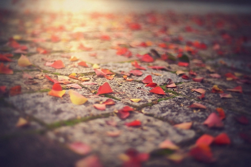 老師給我們的考試加油祝福語 老師給我們的考試加油祝福語