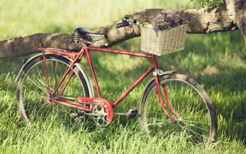 關于思念的高考祝福 關于思念的高考祝福