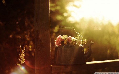 不再說(shuō)從前。