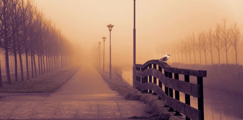 給姥爺拜年祝福語簡短精辟