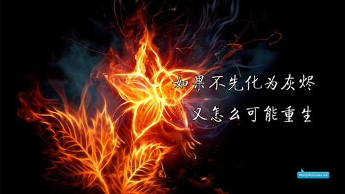 小朋友十周歲生日祝福語，十周歲生日祝福語